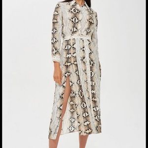 Topshop Snakeskin Print Shirt Dress